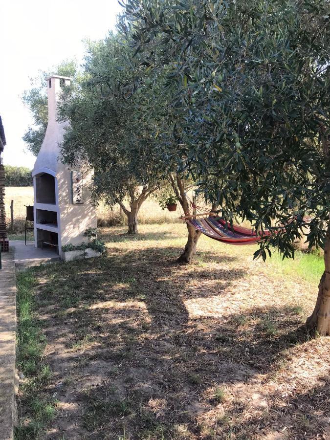 Appartement Casa Varvis