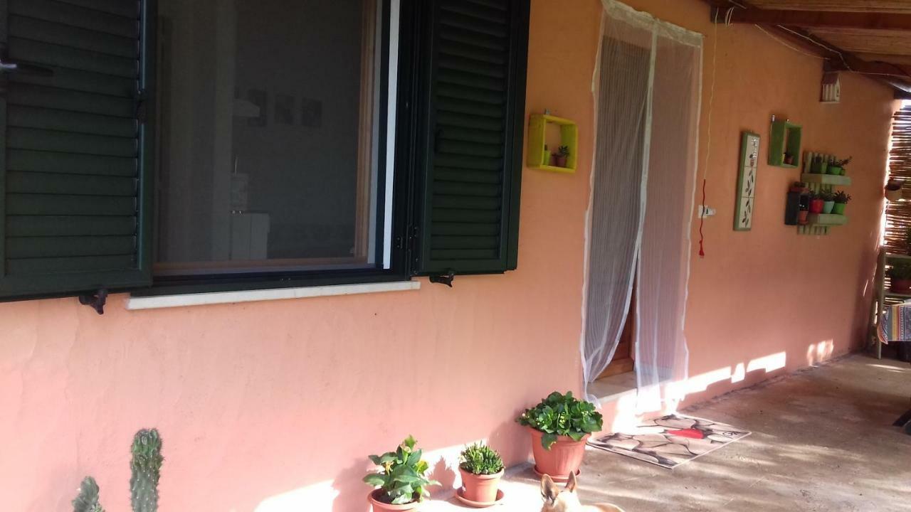 Casa Varvis Apartment *